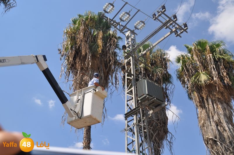 cat lud 910 (44).JPG